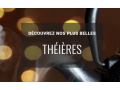 Détails : 1001 théières : Trouvez la théières qui vous convient